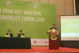 ‘Việt Nam cần phát triển để ổn định thay vì ổn định để phát triển’