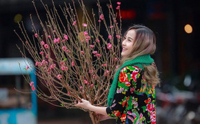 Miền Bắc đón Tết Kỷ Hợi trong thời tiết thế nào?