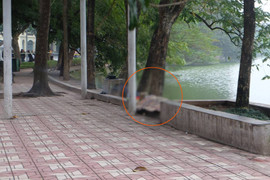 Nhảy xuống hồ Hoàn Kiếm bơi ra tháp Rùa, người đàn ông chết đuối