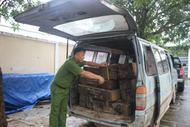 Chở gỗ lậu bị phát hiện, tài xế bỏ xe ô tô gắn biển giả tháo chạy
