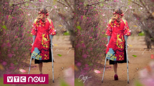 Bức ảnh cô gái khuyết tật giữa rừng hoa xuân khiến dân mạng xúc động