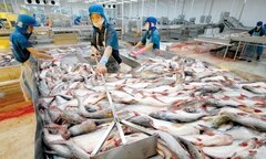 Kịch bản nào cho ngành thuỷ sản năm mới 2019?