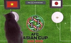 Mèo tiên tri dự đoán Việt Nam hạ Nhật Bản, vào bán kết Asian Cup 2019