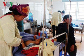 Bé 7 tuổi thiệt mạng do ăn sắn cao sản sống