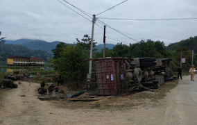 Lật xe tải, hàng chục con trâu rơi giữa đường