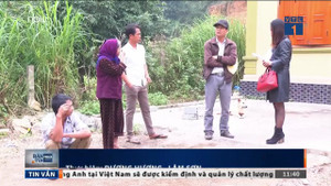 Thực hư vụ tông chết người rồi tự ý chôn xác ở Nghệ An