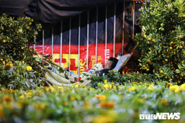 Ảnh: Tiểu thương vạ vật trắng đêm canh tài sản ở chợ hoa Tết lớn nhất TP Buôn Ma Thuột