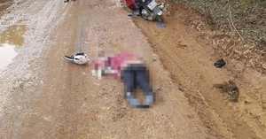 Điều tra lái xe tải đâm chết người phụ nữ rồi bỏ chạy ở Phú Thọ