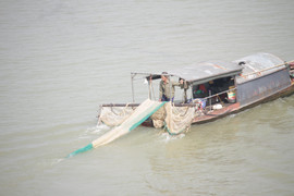 Video: Cá chép 'chầu trời' bị đánh lưới ngay khi vừa thả