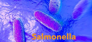 Nhiều sản phẩm sữa bột nhiễm khuẩn của Pháp đã nhập khẩu về Việt Nam