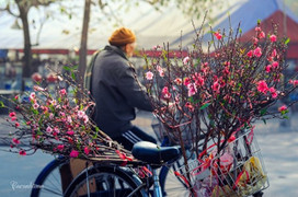 Tết Nguyên đán Kỷ Hợi, thời tiết 3 miền thế nào?