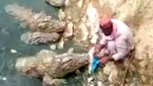 Kinh hãi cảnh đàn cá sấu háu ăn vây quanh người đàn ông