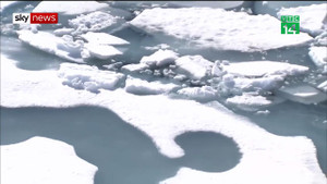 Bắc Cực trải qua mùa hè nóng nhất trong 115.000 năm