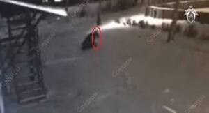 Video: Bé gái 10 tuổi tung đòn karate chống trả kẻ ấu dâm