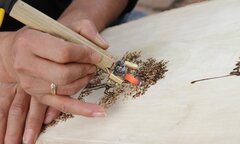 Video: Độc đáo nghệ thuật viết thư pháp bằng bút lửa tại Hà Nội