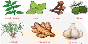 Từ vựng tiếng Anh về các cây gia vị