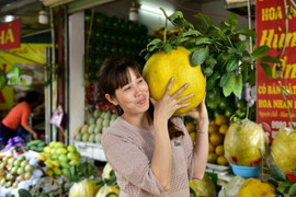 Video: Bưởi khổng lồ 13kg/quả, giá bạc triệu hút khách chơi Tết