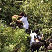 Bé gái chào đời dưới vực sâu 10m ở Hà Giang