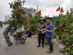 Tâm sự người trồng đào, quất ngày Tết: Làm ơn đừng mua hoa, đào, quất ngày 30 Tết