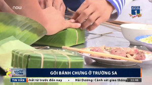 Loại lá gói bánh chưng kỳ lạ ở Trường Sa