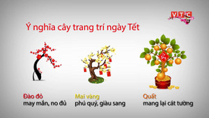 Tết Nguyên Đán và những sự thật thú vị không phải ai cũng biết