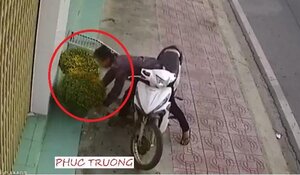 Clip: Người đàn ông ngang nhiên bê trộm hai chậu hoa vào sáng mùng 1 Tết