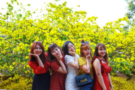 'Cụ mai' 55 tuổi, giá hơn 2 tỷ đồng thu hút hàng nghìn người đến chụp ảnh ngày đầu năm