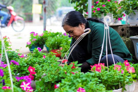 Xã giàu nhất miền Bắc làm nghề gì?