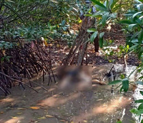 Thi thể người đàn ông đang phân hủy tại bìa rừng