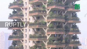 Kỳ lạ khu rừng thẳng đứng bao trùm cao ốc ở Trung Quốc