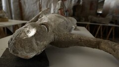 Thảm họa núi lửa Pompeii chôn sống 2.000 người: Giải mã tư thế chết bí ẩn của nạn nhân