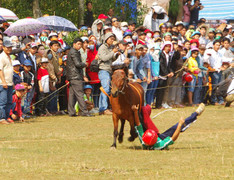 Video: Hội đua ngựa đặc sắc duy nhất ở miền Trung