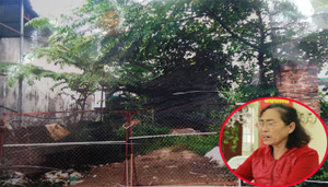 Bị tố san phẳng nhà dân ở Hà Nội trong dịp Tết, tổ trưởng dân phố nói gì?