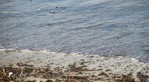 Cận cảnh nước đen ngòm, bốc mùi hôi thối kéo dài 4km bờ biển Đà Nẵng