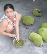 Dung dịch thúc mít chín nhanh gây hoang mang