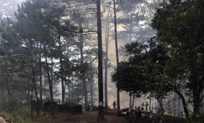 Hàng trăm người đang dập đám cháy rừng trên đèo Prenn ở Lâm Đồng