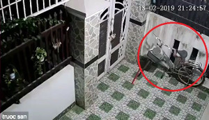 Clip: Tên trộm kỳ quặc cố ăn cắp chiếc yên xe đạp