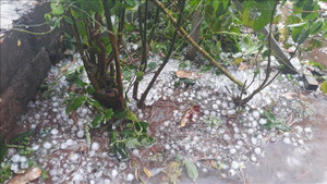 Chuyên gia khí tượng: Mưa đá, dông sét xuất hiện sớm báo hiệu mùa thiên tai diễn ra khó lường, phức tạp