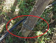 Vợ chồng chết thảm khi bước qua hàng rào nhiễm điện: Chủ đường dây điện là ai?