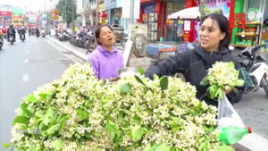 Tiết lộ thu nhập 'khủng' của gánh hàng rong bán hoa bưởi