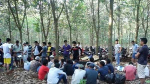 Công an triệt phá sới bạc trong rừng tràm lúc rạng sáng