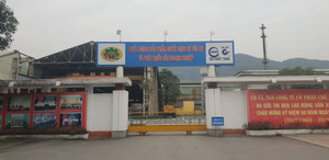 ‘Rửa’ tiền qua lương công nhân