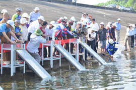 Thả 50 nghìn con cá giống tại lễ hội Cầu mưa ở Quảng Nam