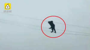 Clip: Hoảng hồn 'ma men' đu mình trên dây điện cao thế như làm xiếc