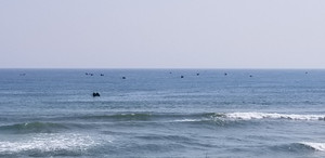 Tìm thấy thi thể ngư dân bị lật thuyền thúng mất tích trên biển