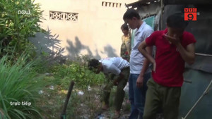 Ngang nhiên trồng cả vườn cần sa trong nhà ở An Giang