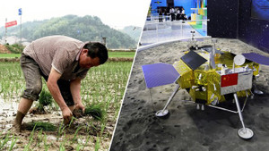 Mỹ yêu cầu WTO không coi Trung Quốc là 'nước đang phát triển'