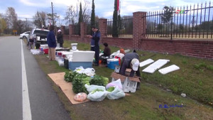 Video: Lạ kỳ chợ quê ven đường của người Việt ở Houston (Mỹ)