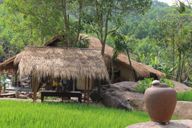 Khu nghỉ dưỡng 'chui' mọc giữa rừng phòng hộ ở Quảng Nam