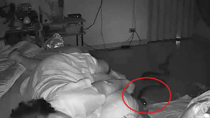 Clip: Trăn trườn vào phòng ngủ, cắn trộm cụ bà lúc nửa đêm